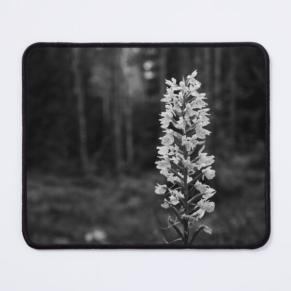 Item preview, Bringing the light to moorlands. Moorland spotted orchid bw designed and sold by Jouko Lehto Photography.