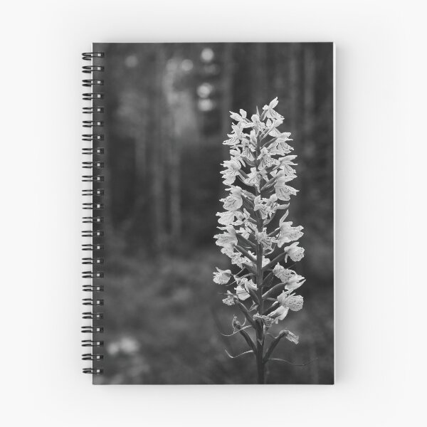 Item preview, Bringing the light to moorlands. Moorland spotted orchid bw designed and sold by Jouko Lehto Photography.
