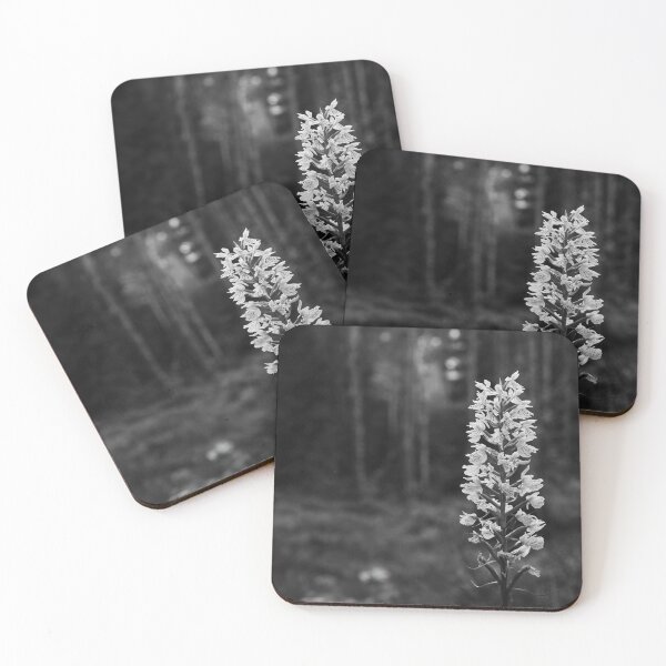 Item preview, Bringing the light to moorlands. Moorland spotted orchid bw designed and sold by Jouko Lehto Photography.