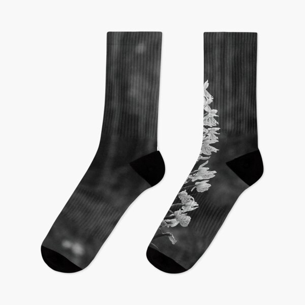 Item preview, Bringing the light to moorlands. Moorland spotted orchid bw designed and sold by Jouko Lehto Photography.