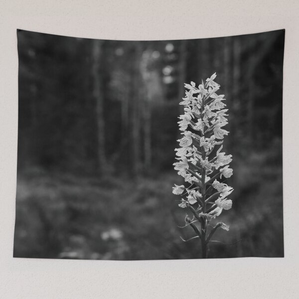 Item preview, Bringing the light to moorlands. Moorland spotted orchid bw designed and sold by Jouko Lehto Photography.