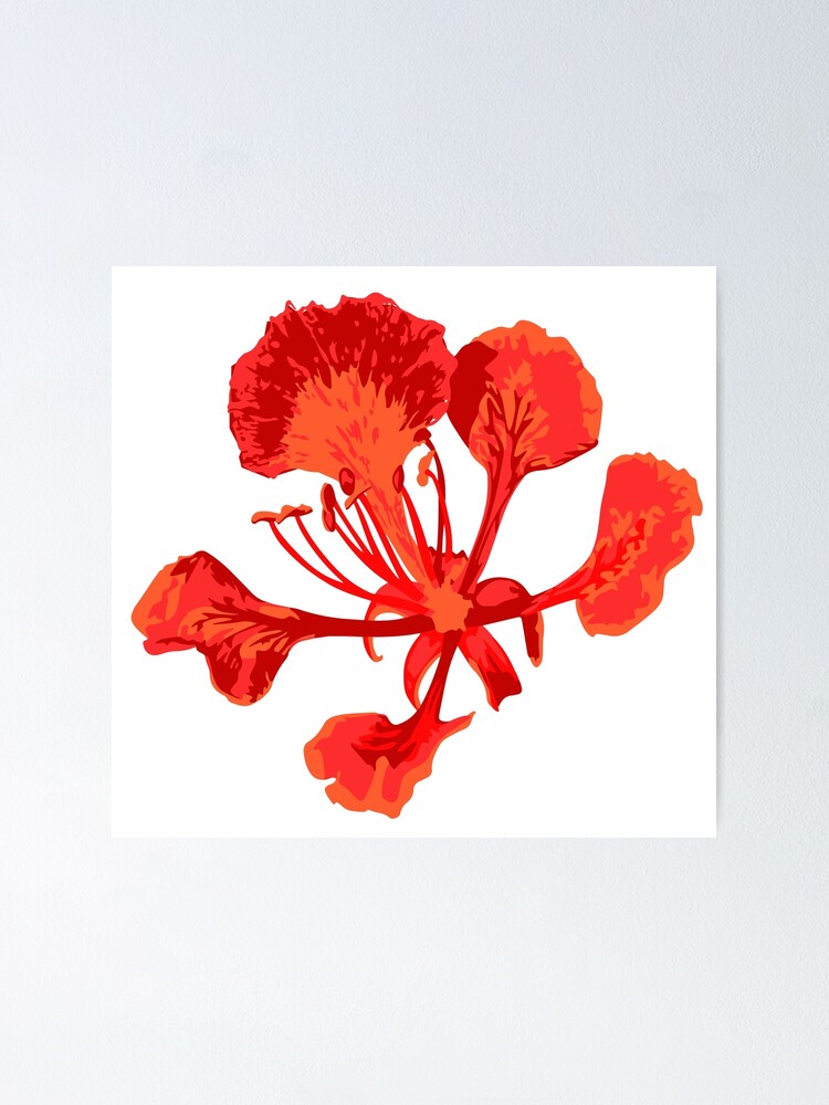 Flamboyant Flower Poster By Holistikarma Redbubble