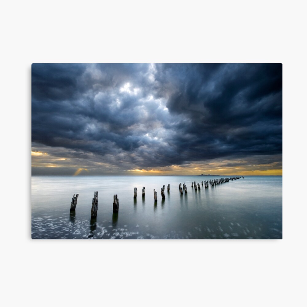 Awakening Canvas Print