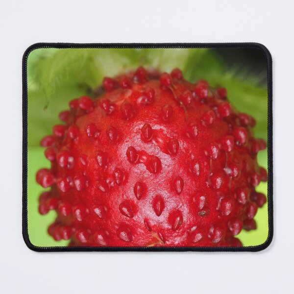 Item preview, Red berry of Potentilla indica - mock strawberry designed and sold by SDym Photography.