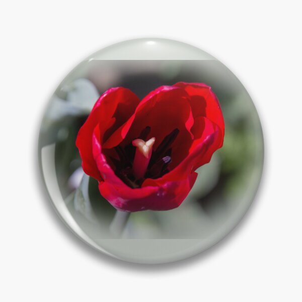 Item preview, Red tulip designed and sold by indiafrankk.