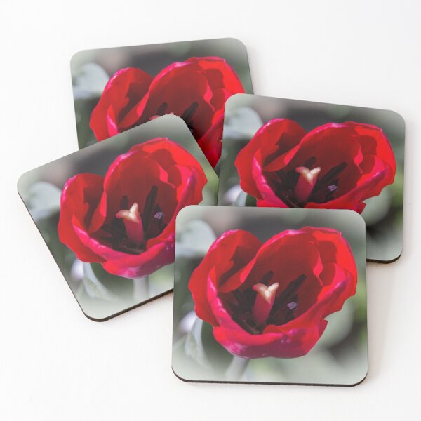 Item preview, Red tulip designed and sold by indiafrankk.