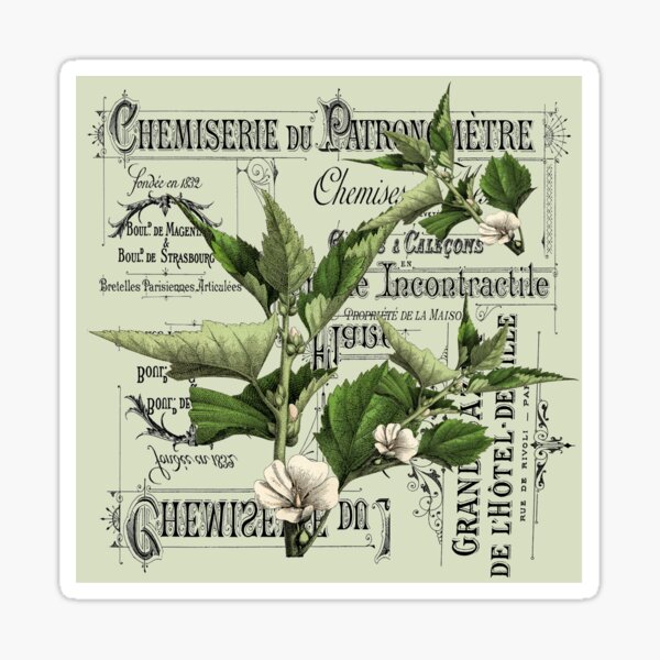 Aperçu de l'œuvre sombre université feuille fleur sauvage français pays créée et vendue par LEILA ART SPACE.