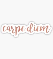Carpe Diem Rose Gold Sticker