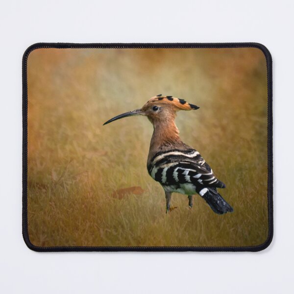 Item preview, Eurasian Hoopoe - Thailand designed and sold by Kathy Weaver.