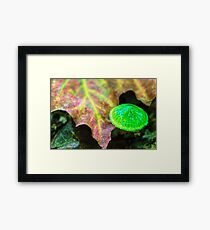 unique Framed Print