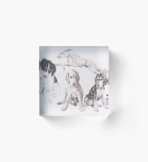 Saluki Growing Up Acrylic Block