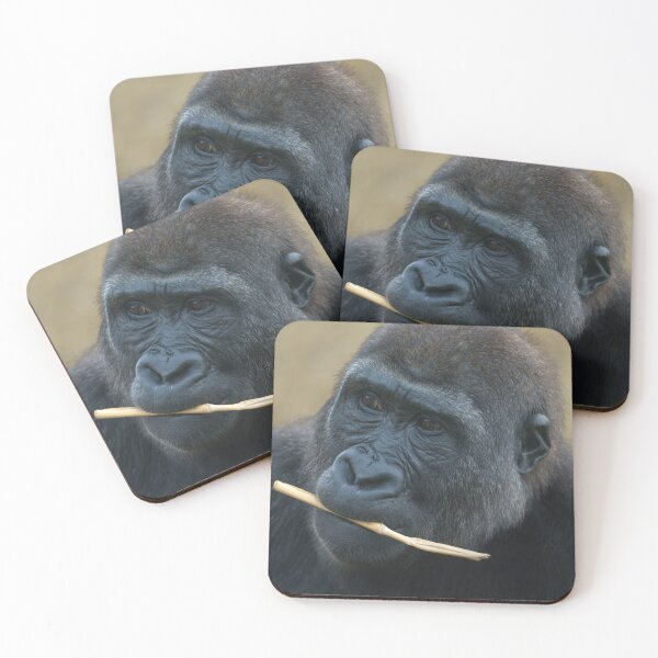 Item preview, Gorilla Youngster Shufai designed and sold by rawshutterbug.