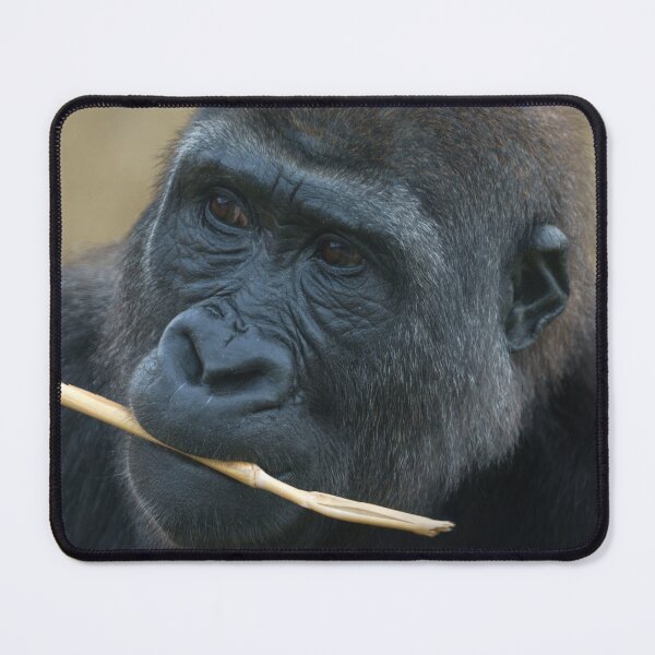 Item preview, Gorilla Youngster Shufai designed and sold by rawshutterbug.