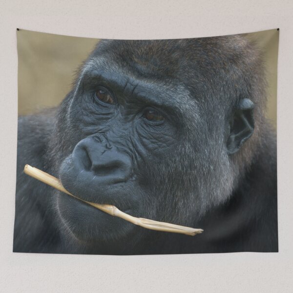 Item preview, Gorilla Youngster Shufai designed and sold by rawshutterbug.