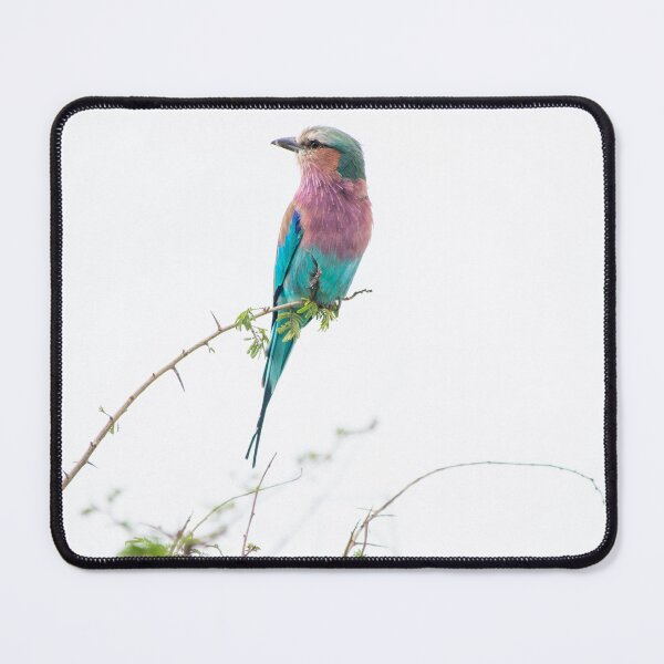 Item preview, Lilac-breasted roller - Beautiful African bird photographed in the Kruger National Park, South Africa designed and sold by Marlienart.