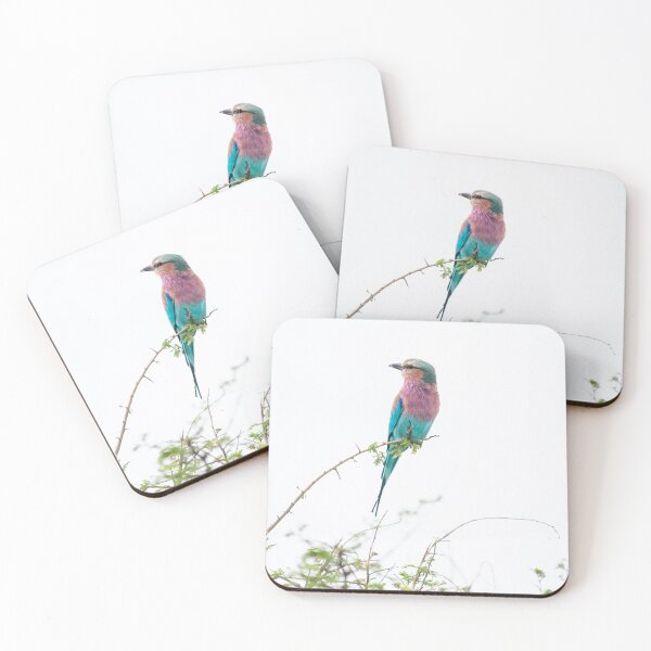 Item preview, Lilac-breasted roller - Beautiful African bird photographed in the Kruger National Park, South Africa designed and sold by Marlienart.
