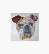 American Bulldog Portrait Art Board