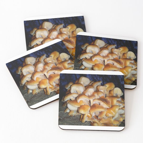 Item preview, Mushroom Forest designed and sold by OnigiriSuiko.
