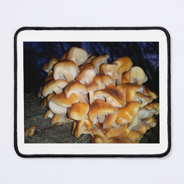 Item preview, Mushroom Forest designed and sold by OnigiriSuiko.