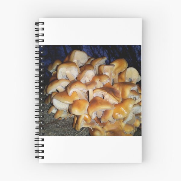 Item preview, Mushroom Forest designed and sold by OnigiriSuiko.