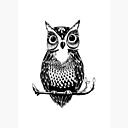 Black And White Drawn Owl Art Board Print By Tanyadraws Redbubble