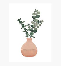 Plant Photographic Print