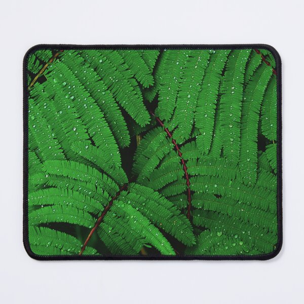 Item preview, Raindrops on Green Leaves Canvas Print designed and sold by Nils Petter Stein.