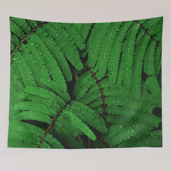 Item preview, Raindrops on Green Leaves Canvas Print designed and sold by Nils Petter Stein.