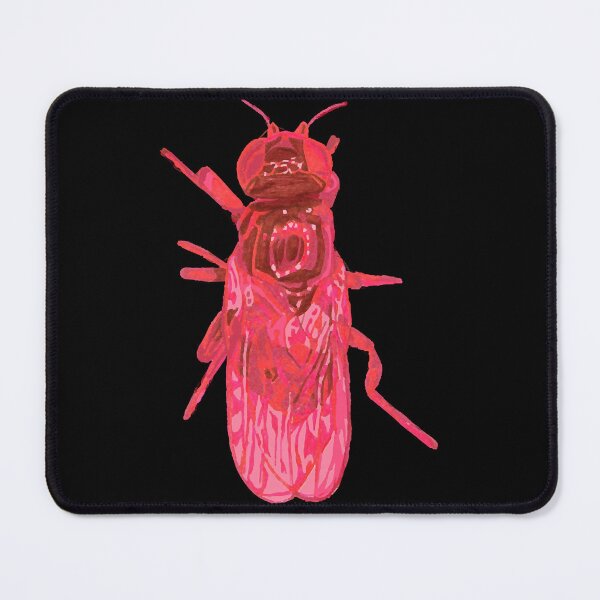 Item preview, Eye Gnat  designed and sold by MichelleF34464.