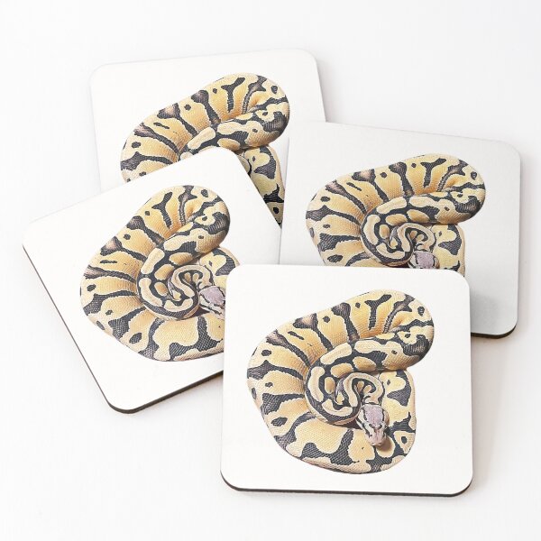 Item preview, Ball Python-  Desert Ghost Clown Pied Morph designed and sold by Elarex.