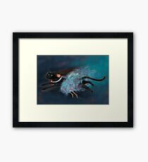 Flying on my cat Framed Print