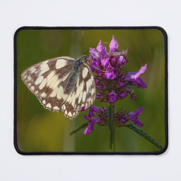 Item preview, Mariposa Blanca Marmolada designed and sold by SWEEPER.