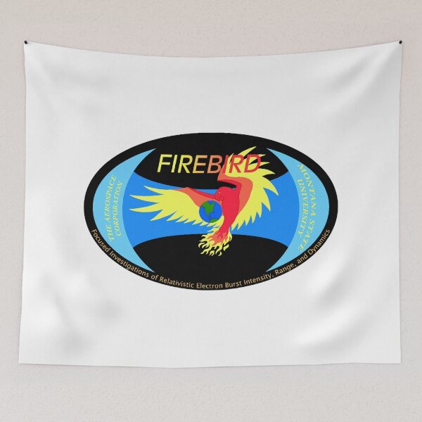 Item preview, Focused Investigation of Relativistic Electron Bursts (FIREBIRD) designed and sold by Nikki SpaceStuffPlus.