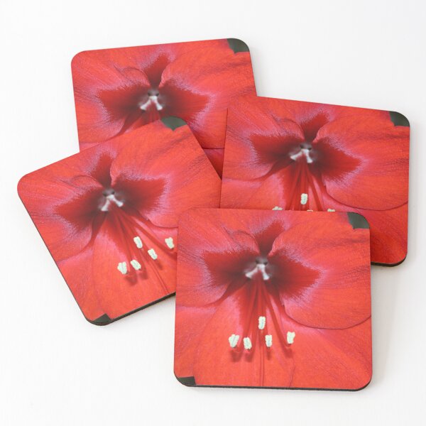 Item preview, Is this the Way to Amaryllis? designed and sold by RedHillDigital.