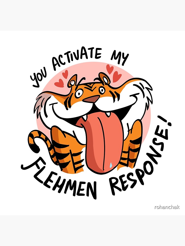 Tiger　Sale　Response　for　Poster　Flehmen　Redbubble　by　rohanchak