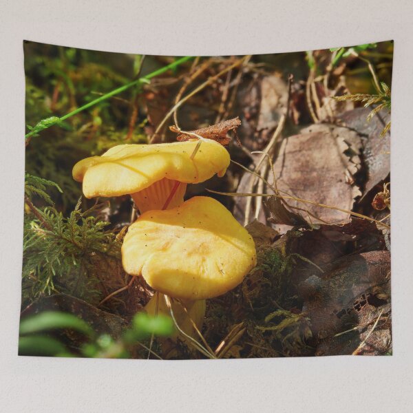 Artikelvorschau, Pfifferling-Zwillinge entworfen und verkauft von Jouko Lehto Photography.