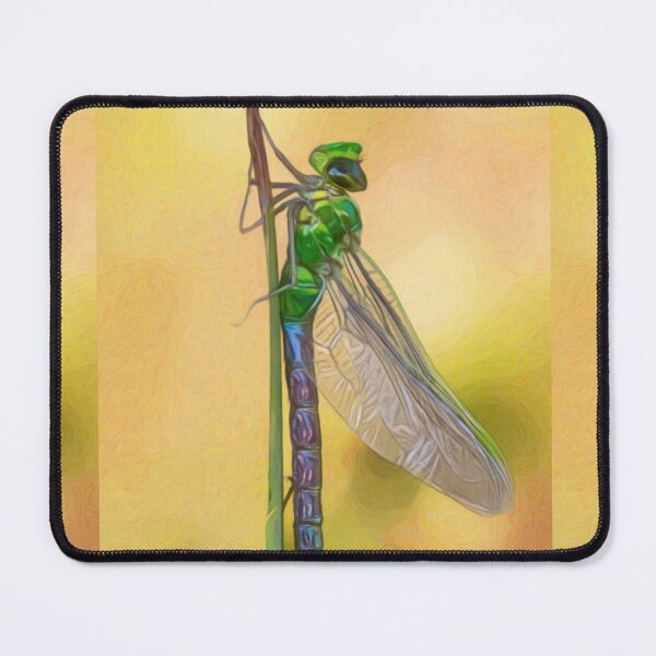 Item preview, Dragonfly On Flower Stem Artwork designed and sold by NikkiBear67.