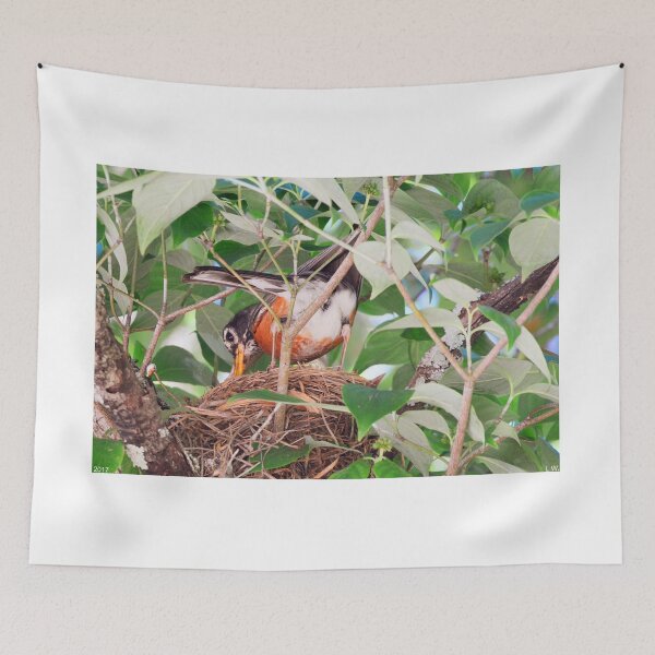 Item preview, Nesting Robin designed and sold by LisaWootenPhoto.