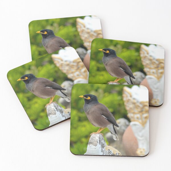 Item preview, Common myna designed and sold by troianifabrizio.