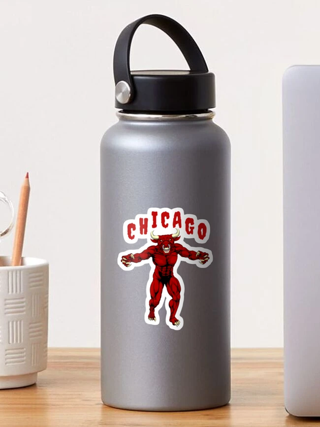Chicago Bulls 24oz Jr Thirst Wrap Water Bottle – Official Chicago Bulls  Store