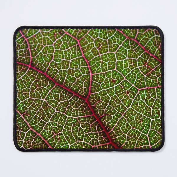Item preview, Leaf designed and sold by troianifabrizio.