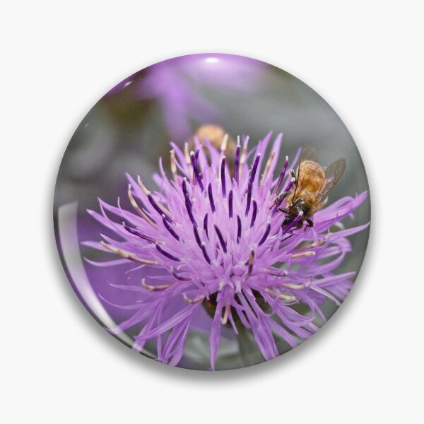 Item preview, Honey to the Bee designed and sold by Linda Lees.