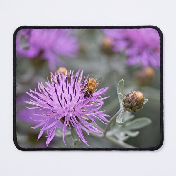 Item preview, Honey to the Bee designed and sold by Linda Lees.