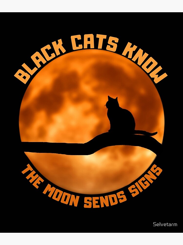 "The black cat at night looks at the red moon. cat from space" Poster for Sale by Selvetarm