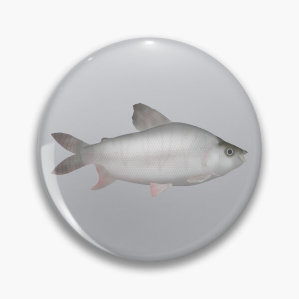 Item preview, Black Prochilodus designed and sold by fishfolkart.