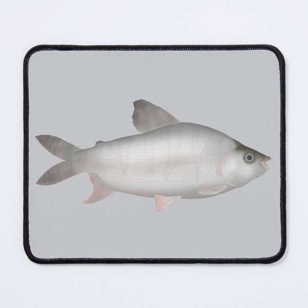 Item preview, Black Prochilodus designed and sold by fishfolkart.