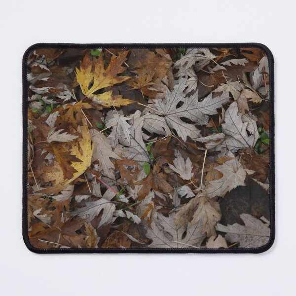 Item preview, Fall designed and sold by kifaya.
