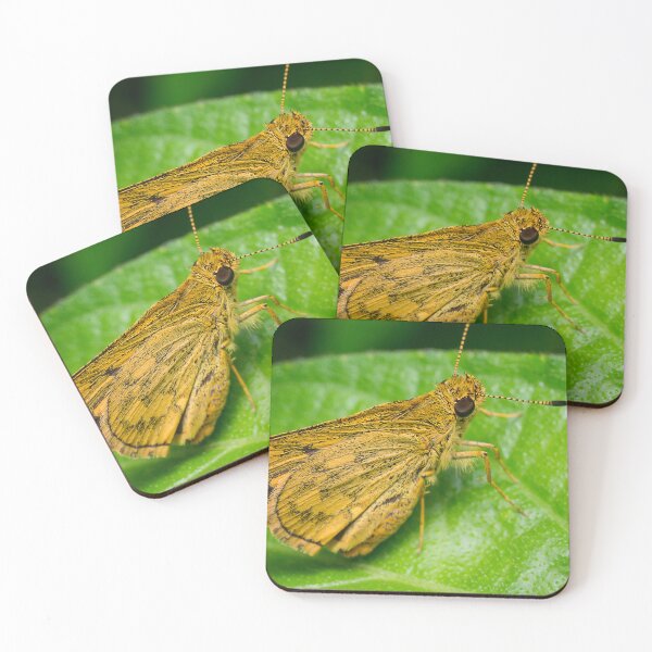 Item preview, Unique and organic photo of a yellow skipper (butterfly) designed and sold by AvonPerception.