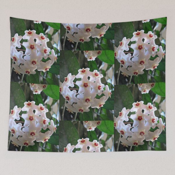 Item preview, Hoya Plant In Bloom designed and sold by Diane Arndt.