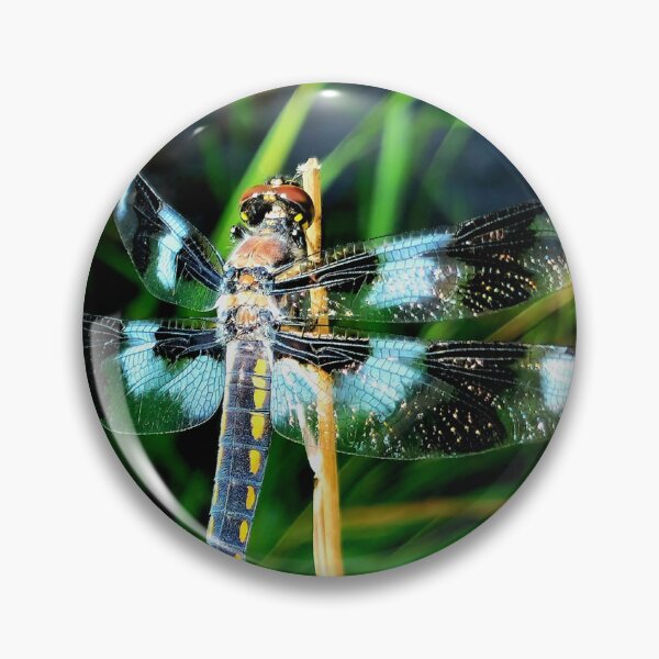 Item preview, Dragonfly Wisdom designed and sold by Walter Idema.